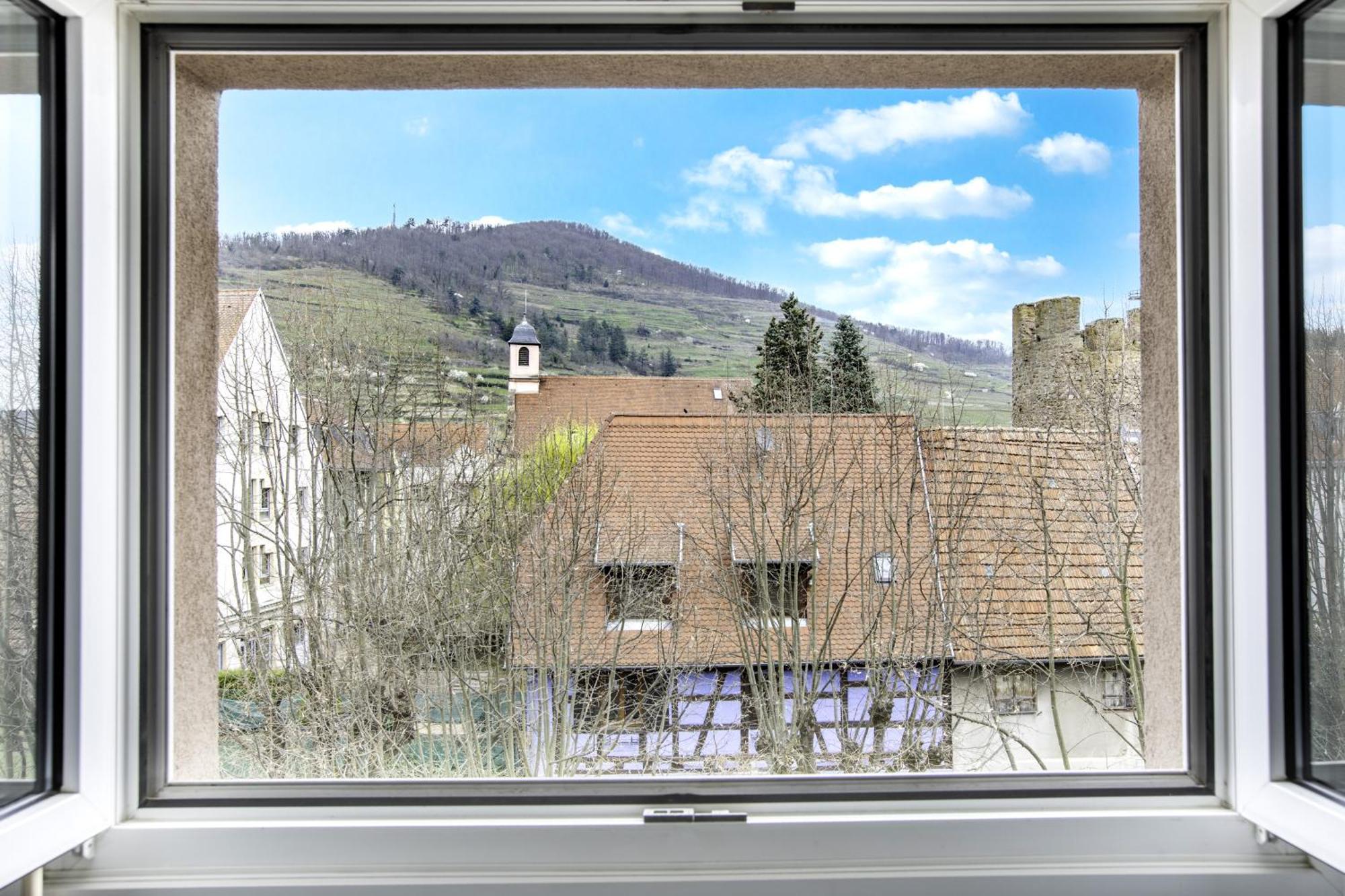 Choupette De La Vallee Avec Garage Kaysersberg-Vignoble Luaran gambar